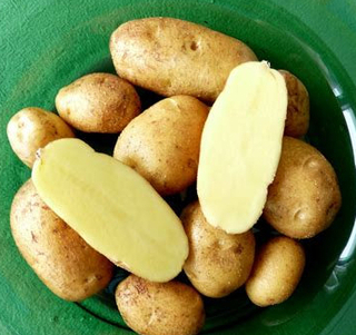 Potato LOOSE - Yellow 'German Butterball' (LOCAL)